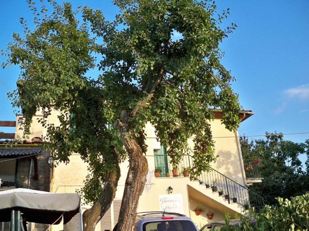 B&B Il Pantanello Rocca Di Papa Exterior photo